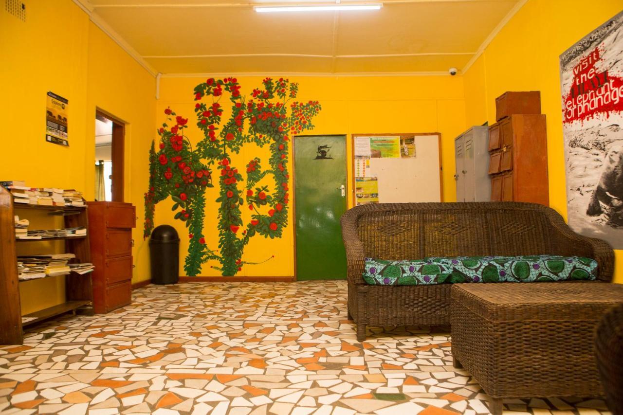 Lusaka Backpackers Hostel Kültér fotó